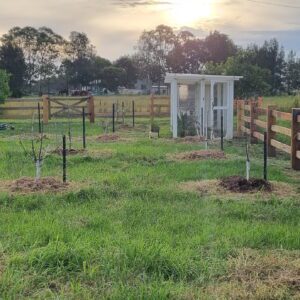 Chicken coop on Coomba Little Farm